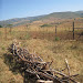 Back to wood fires, here is a bundle of firewood the older daughter just brought down from the mountain in the distance. Fuelwood continues to be a scarce resource to many Swazis, though inefficient cooking methods prevail…it's hard to change those traditions.