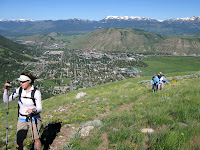 IMG_0337.JPG Photo