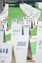 Roth_2010_002.jpg