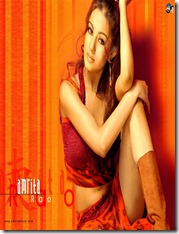 Bollywood (80)