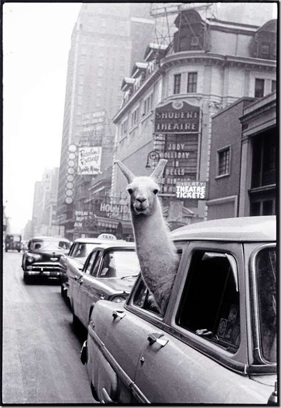 Inge Morath (United States, born 1923)
“Encounter on Times Square,” 1957, from “New York Portfolio I”
Mother Jones 1998 Fine Print Portfolio
Gelatin silver print, 13 1 ⁄ 4 x 9 7/8 inches 
© Magnum Photos
