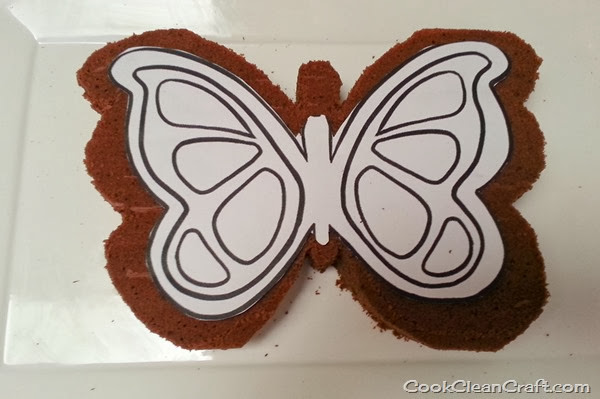Butterfly Cake (3)