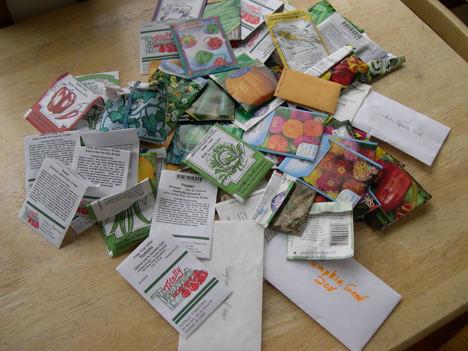 [Mess-of-seeds3.jpg]