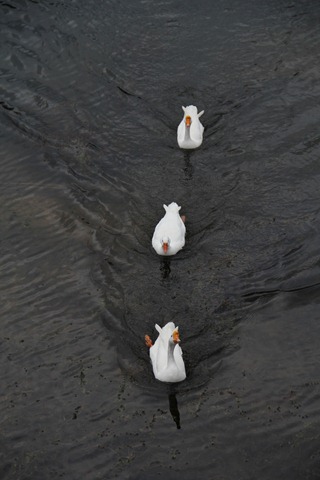 [IMG_1188%255B2%255D.jpg]