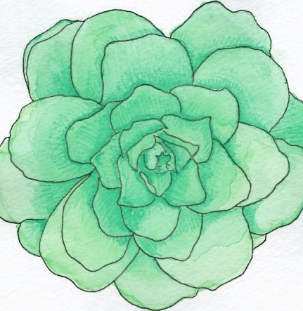 [teal%2520flower%2520httppinterest.compin100064422940816526%255B11%255D.jpg]