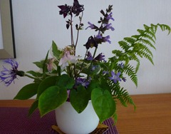 P1010874 P1010874