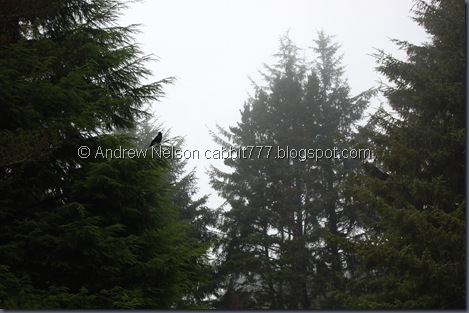 DSC_0863 DSC_0863