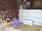 082300 Shingle Staining 05.jpg