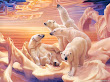 Land Of Bears