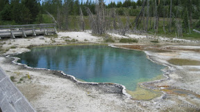 IMG_4164.jpg