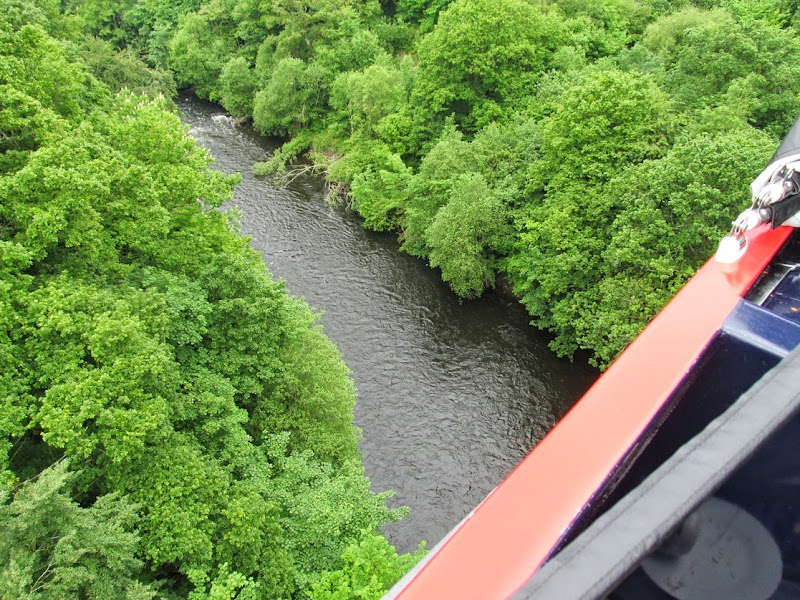 pontycyste 29 -05-1014 127