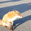 hokkaido_240.jpg