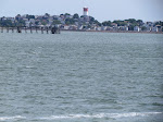 IMG_1558.jpg