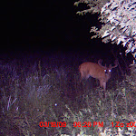MDGC0225.JPG