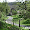 dolina rz. Gryżynki dsc06283.jpg