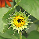 IMG_3230-1.jpg