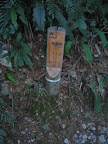 IMG_4881_512.JPG