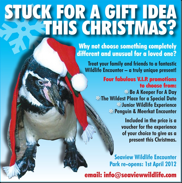 Seaview Xmas web ad