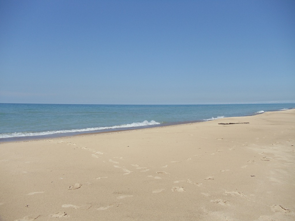 [DSC007844.jpg]