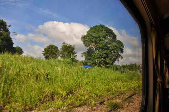 DSC_0015.jpg DSC 0015