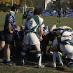 IMG_3564VC.jpg