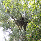 DSCN9672.JPG