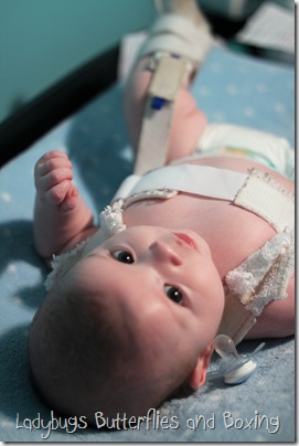 Colton Harness 3