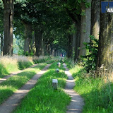 natuur 028.jpg