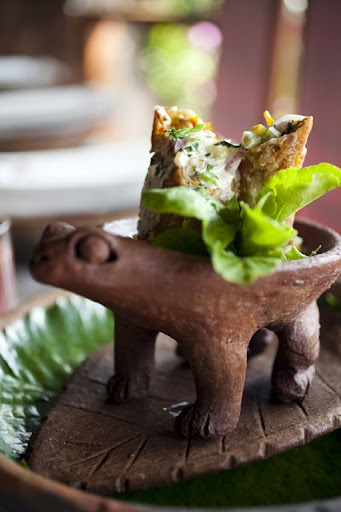 An appetizer roll filled with delicious fresh chicken and herbs rests in my favorite frog dish.