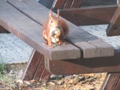 IMG_3106 IMG_3106