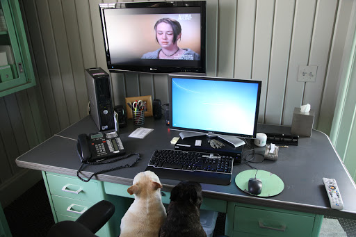 I just love Animal Planet, don't you, Franny?