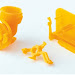 3D model4.jpg