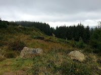 20120921_105438.jpg