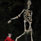 DSC_8560-2.jpg