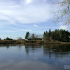 dsc07418.jpg