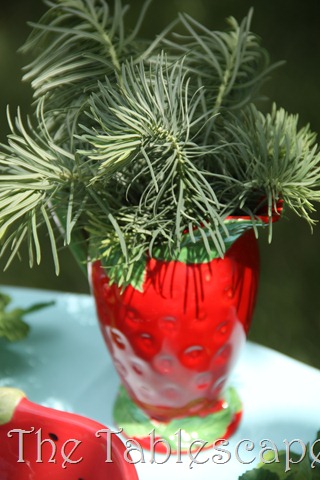[strawberries-0533.jpg]