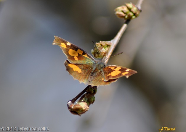 DSC_0579 DSC_0579