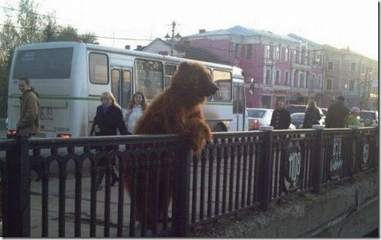 viral-picdump-pics-8160c6