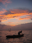 Lankanfushi- The Resort Island - 364.jpg