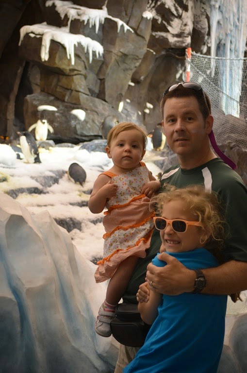 [DSC_9075%255B3%255D.jpg]