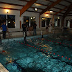 DSC06015.JPG