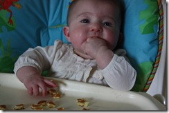 IMG_8847 IMG_8847