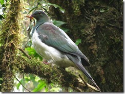 IMG_4913 IMG_4913