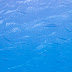 P3242863