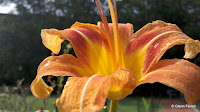 2011-08-09_14-58-52_818.jpg