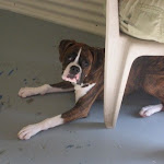 DSCN2518.jpg