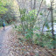 DSCF9380.JPG