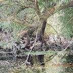 DSCN3087.JPG