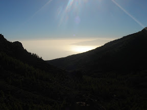 DSC01282.JPG