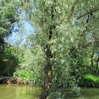 IMG_7738.JPG